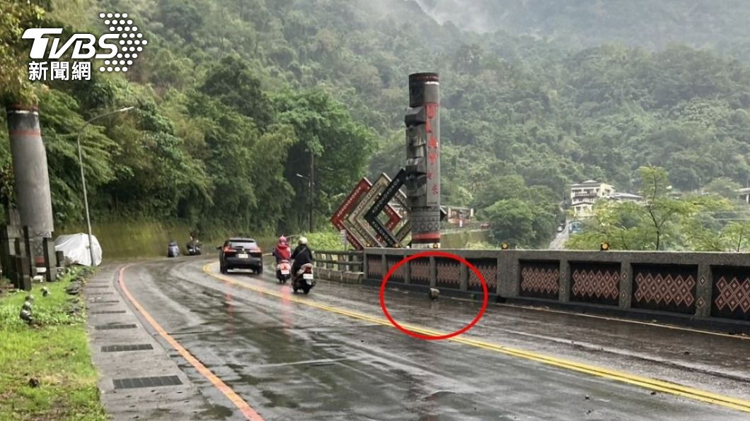 快訊/天外飛來橫禍!男騎車經過烏來 落石砸中慘摔