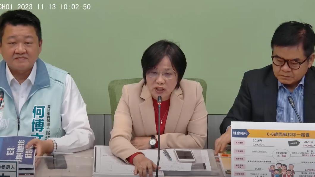 民進黨團幹事長劉世芳。(圖/翻攝自民進黨團直播)
