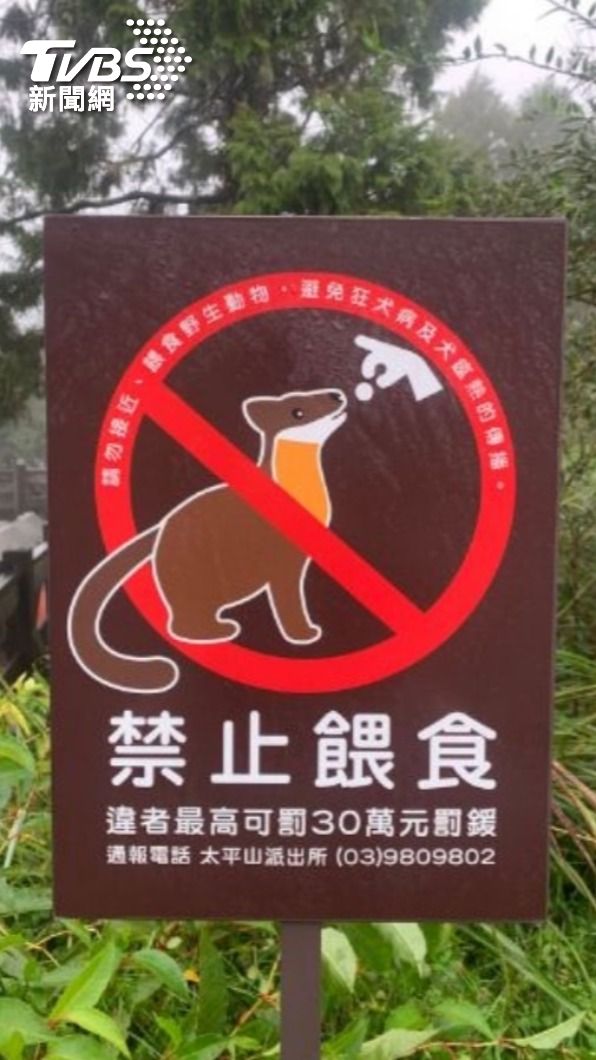 太平山國家森林遊樂區告示提醒不要餵食,否則最高可罰30萬。(翻攝太平山國家森林遊樂區粉專)