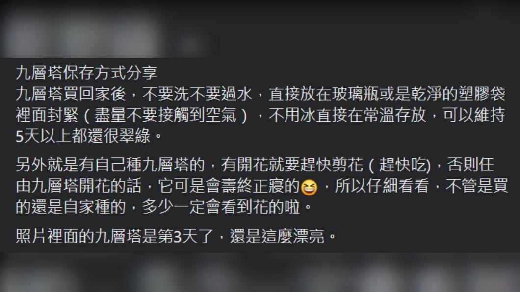 原PO分享九層塔的保存方式。（圖 / 翻攝自臉書）