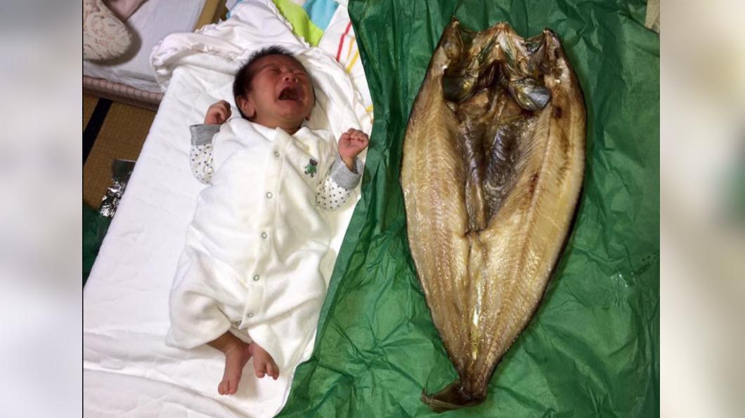北海道魚乾超狂「比嬰兒還大」 網傻眼:真的不是合成?