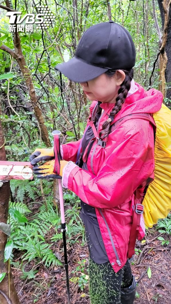 雙腿「炸毛」扎滿淡竹葉種子，一路有增無減。畫面翻拍山友李淑慧(胖西施)