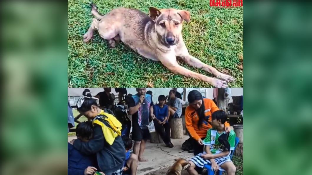 靈犬Chao Yot現身森林帶少年們脫險。（圖／翻攝自komchadluek）