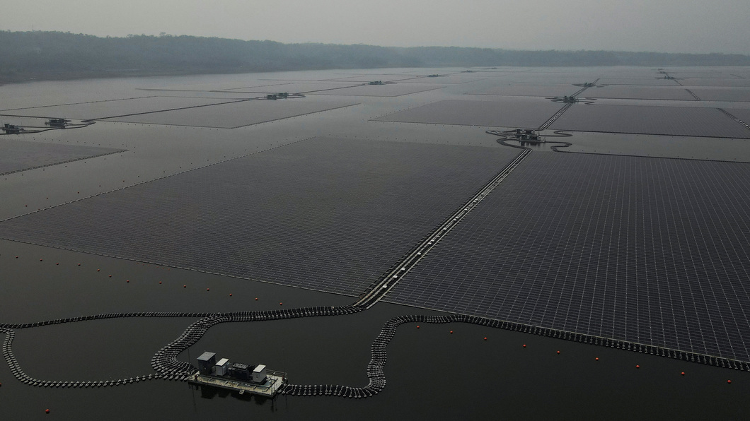 水上光電廠生態衝擊未知 美學者啟大型實驗