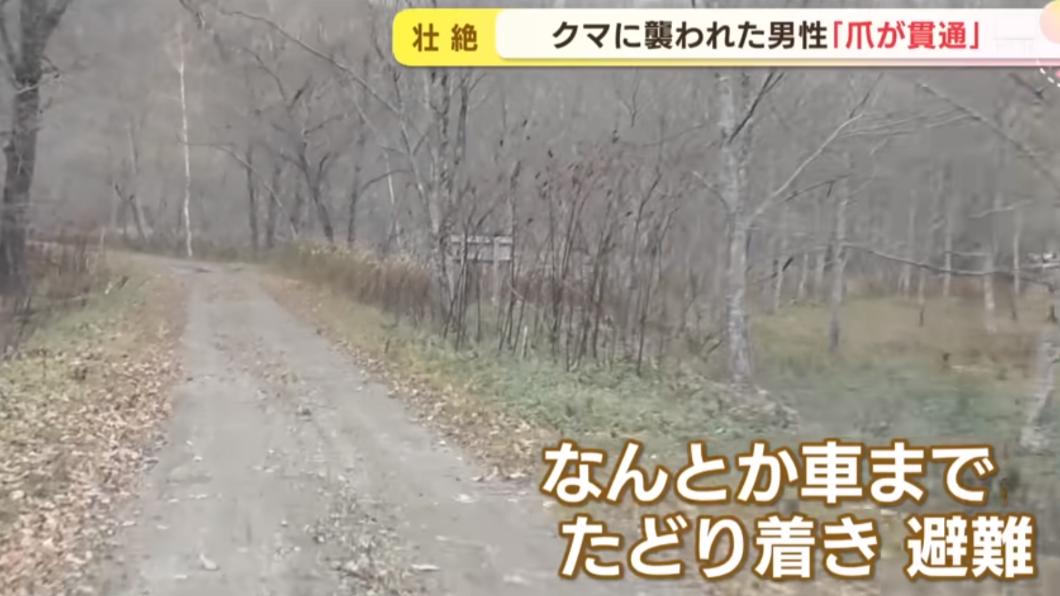 高橋和壽遇到熊的林道。（圖／翻攝自HTB北海道ニュース YT頻道）