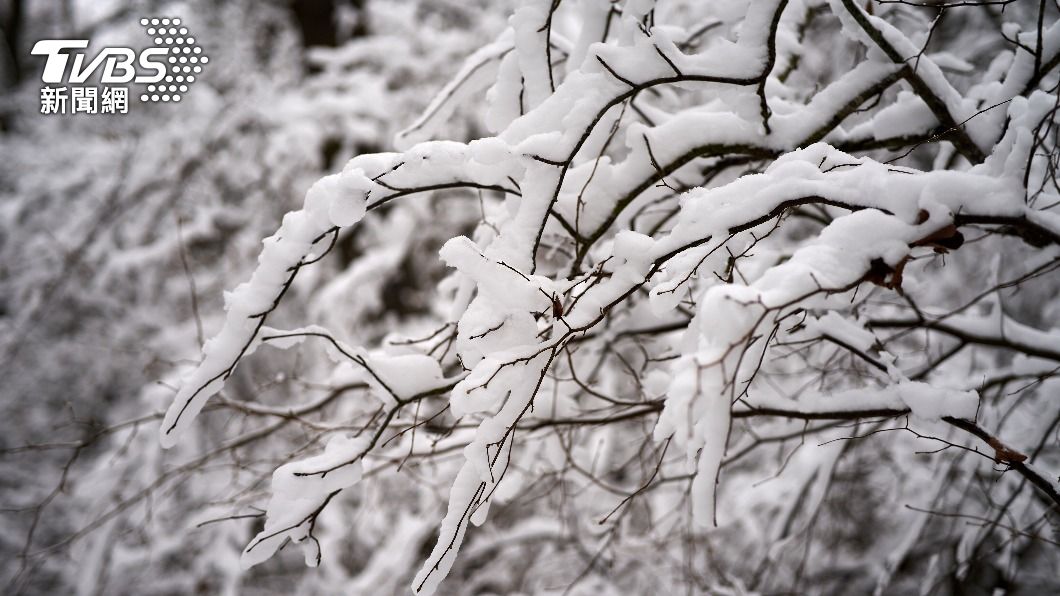 今日是24節氣中的小雪,但有3生肖將逆向迎來超旺財運。(示意圖/shutterstock達志影像)