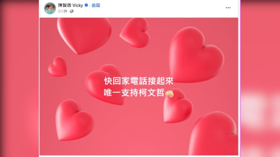 陳智菡在臉書發文呼籲支持者。(圖/翻攝自陳智菡 臉書)
