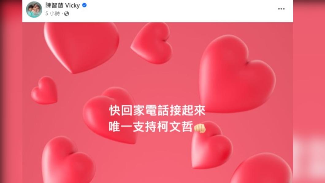 陳智菡發文呼籲支持者。(圖/翻攝自陳智菡臉書)