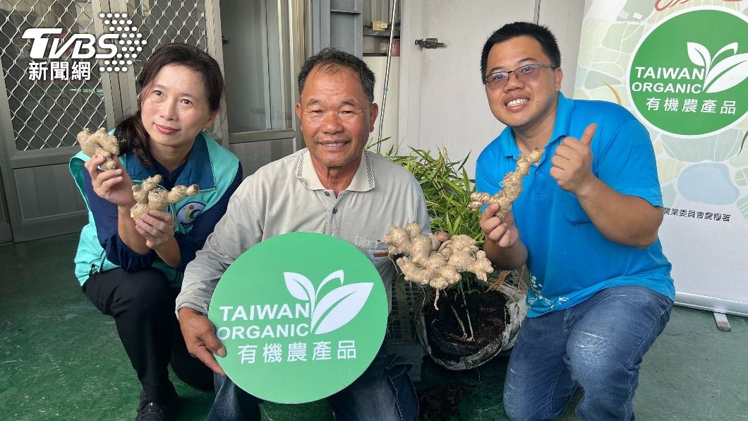 秋冬養生不可或缺一味 台東友善環境生薑暖心又暖胃