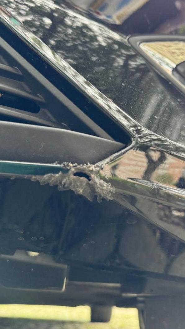 流浪狗在車頭留下多處啃痕，還有一個小破洞。（圖／翻攝自蔡阿嘎IG）