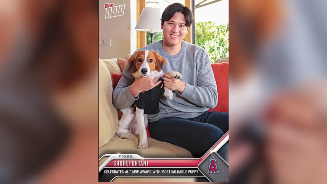大谷翔平當「新手毛孩爸」愛犬爆紅 廠商秒製作紀念球卡
