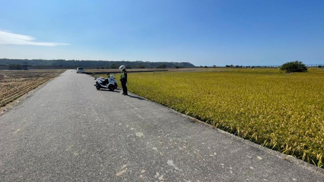 台中外埔忘憂谷金黃稻浪吸人潮 警加強違停取締