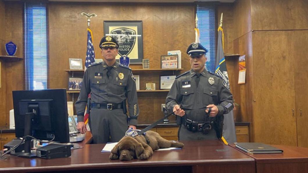 拉拉就職典禮睡翻 網封「全美最懶警犬」