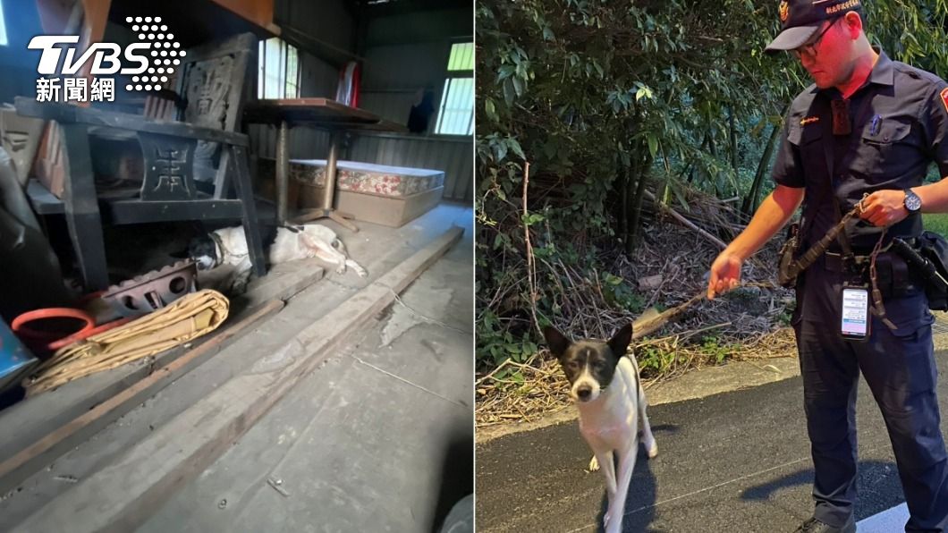 最萌「肉票」!烏來老街店狗遭拐 牠見警上門救援狂搖尾巴