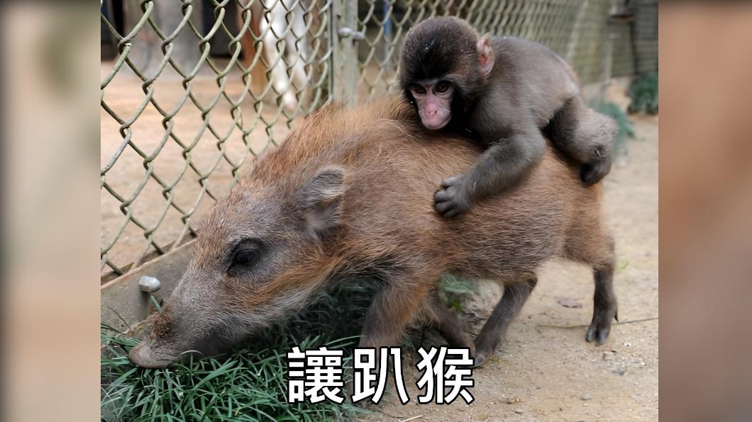 黃士修1圖猛酸「讓趴猴」!3點控藍非首次詐欺:侯不退僵局不解
