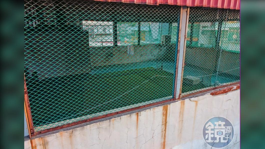 國民黨前立委爆違建!透天厝頂加「爽打高爾夫球」 市府冷處理