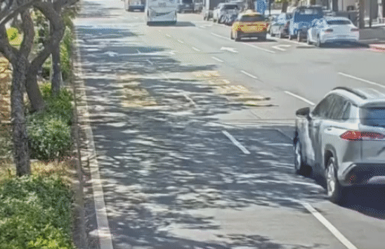 直行阿法車速飛快。(圖/TVBS)