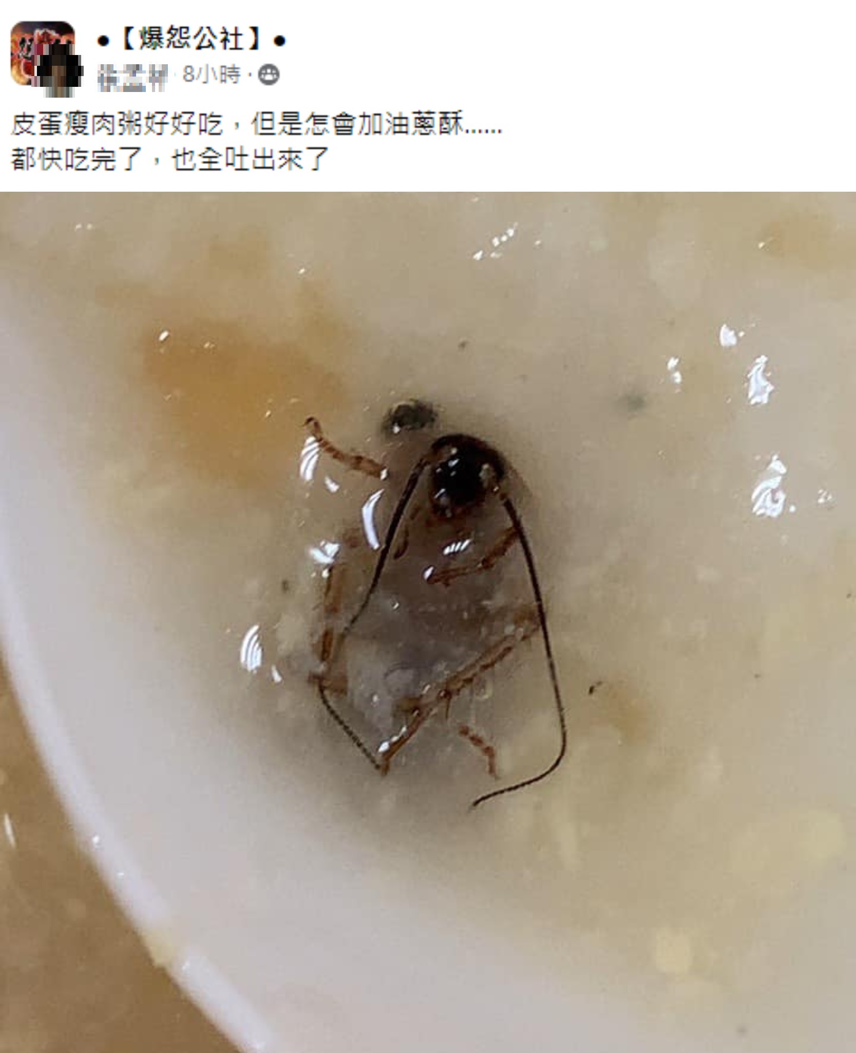 網友原以為皮蛋瘦肉粥底下的是油蔥酥，沒想到竟是死掉的蟑螂。（圖／翻攝自爆怨公社臉書）
