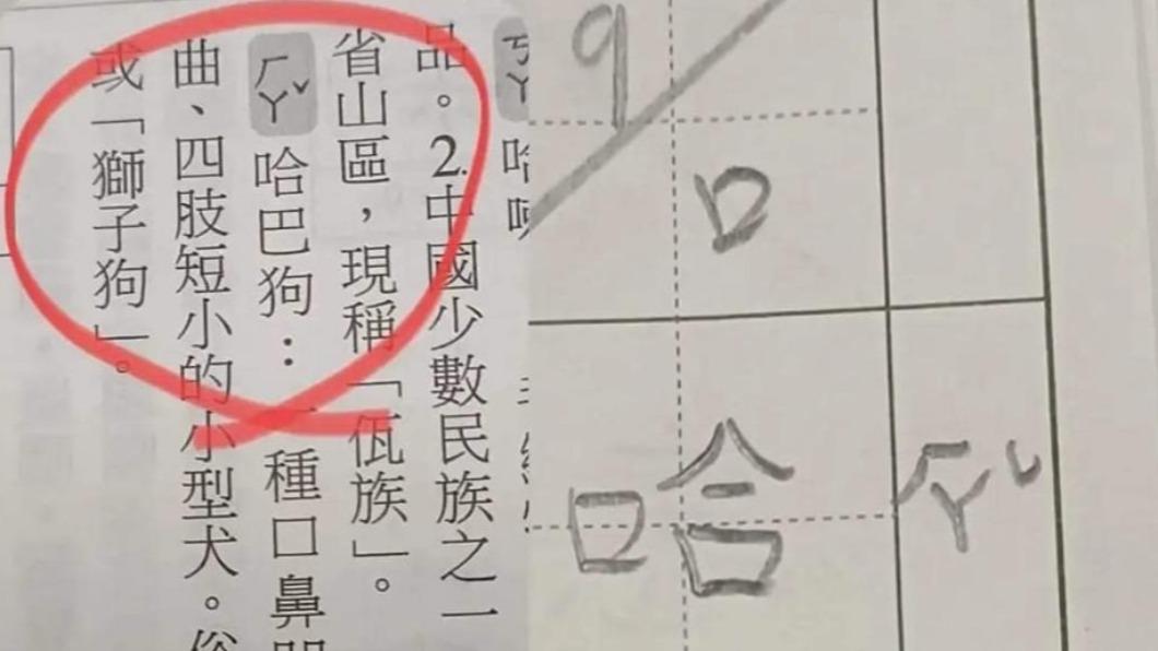 網友抱怨,哈巴狗的哈要唸「ㄏㄚˇ」。(圖/翻攝自臉書爆料公社一日小編)