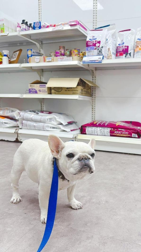 楚宣愛犬驟逝。(圖/翻攝自楚宣臉書)