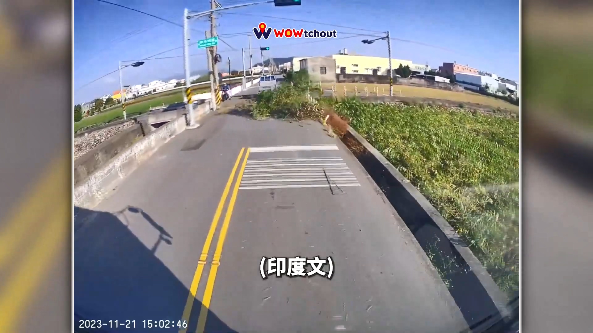 圖/翻攝自 WoWtchout - 地圖型行車影像分享平台