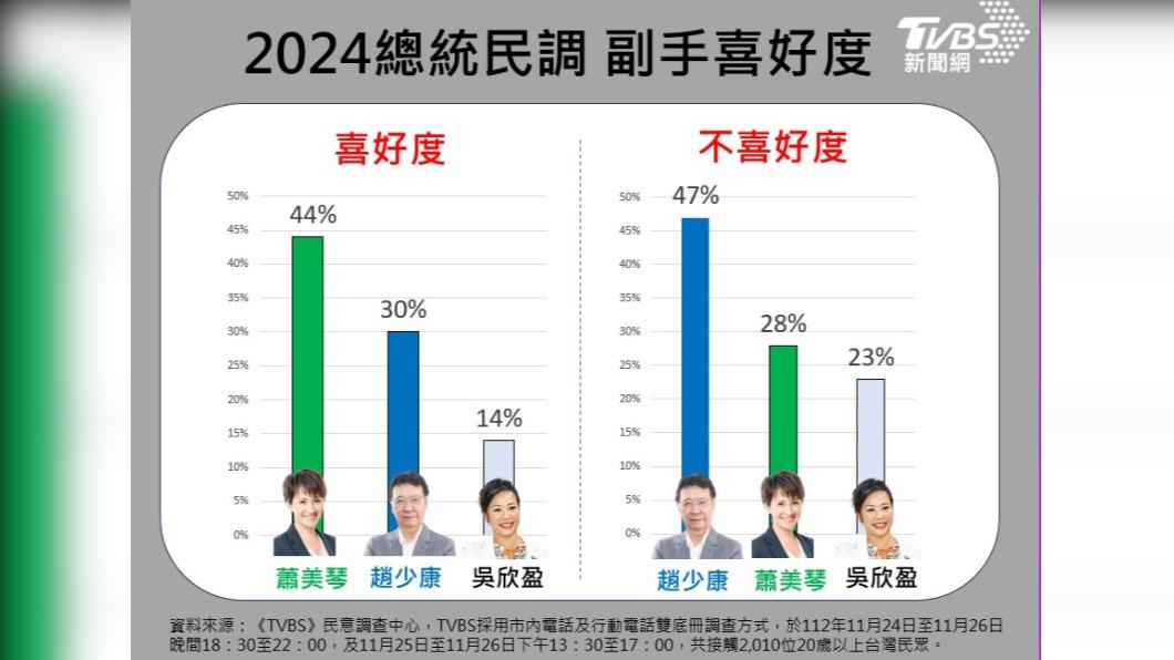 副手搭檔種,趙少康不喜好度最高。(圖/TVBS)