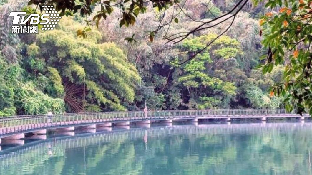 日月潭虎頭蜂築巢又一起 摘除安遊客心