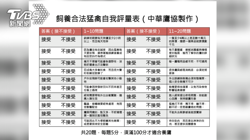栗翅鷹又稱為哈里斯鷹,是台灣可合法飼養的五種老鷹之一。(圖/新北動保處提供)