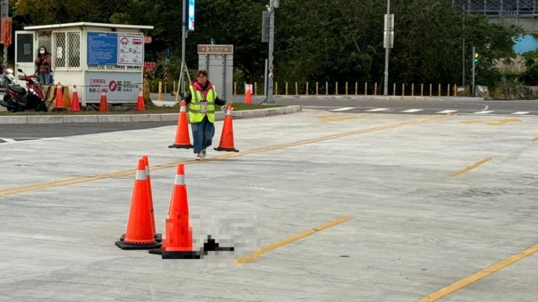 兇手找到了!小黑狗遭路殺 遊覽車司機肇事不理