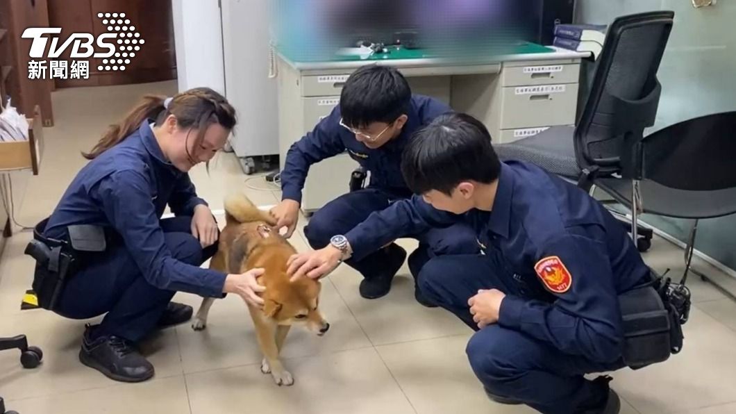 主人逛市場低血糖突昏倒 萌柴「忠心護主」陪等救護車