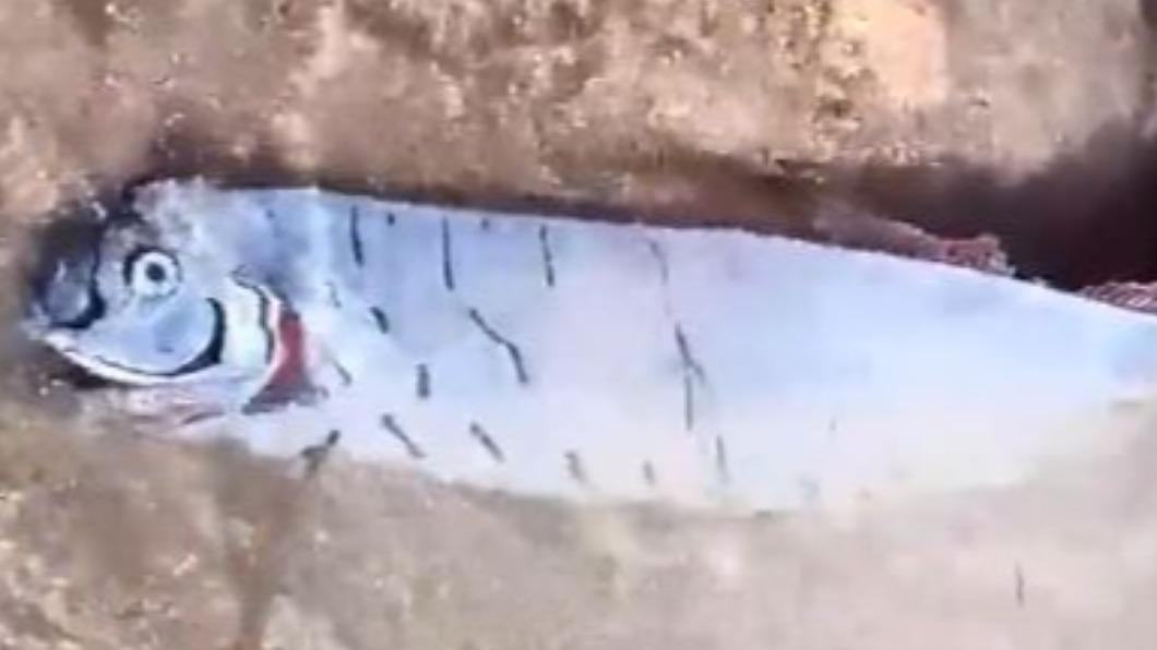 多明尼加民眾在海灘發現皇帶魚,擔憂是否為大地震前兆。(圖/翻攝自X)