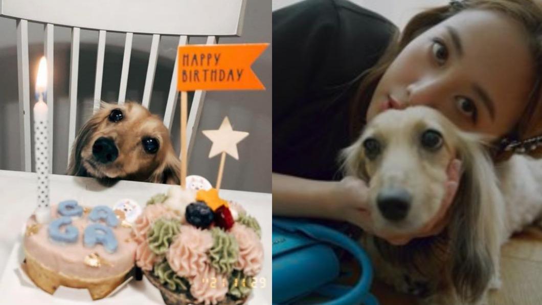 對於愛犬離世，鬼鬼傷心表示只能透過時間消化悲傷。（圖／翻攝自鬼鬼IG）