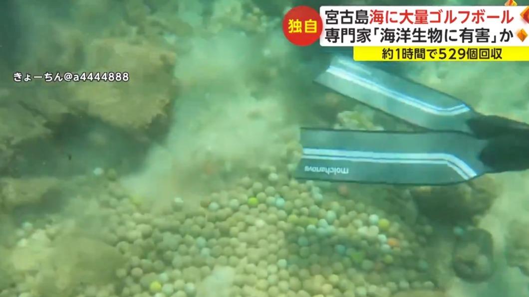 一顆顆高爾夫球沉在海底,恐危害海洋生態。(圖/翻攝自FNNプライムオンラインYT頻道)