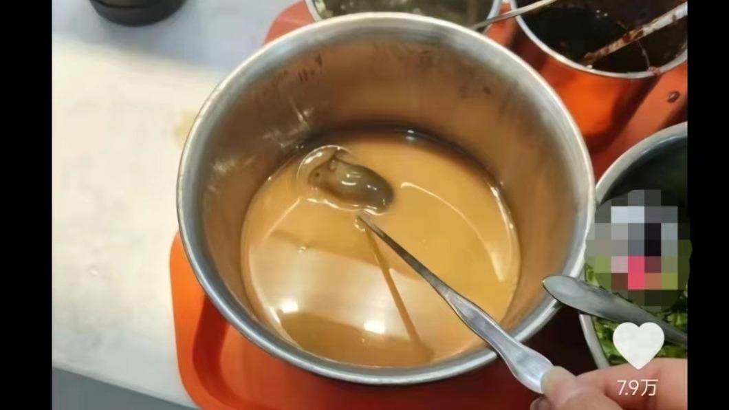 麻醬醬料鍋中可明顯見到老鼠。（圖／翻攝自大眾網微博）