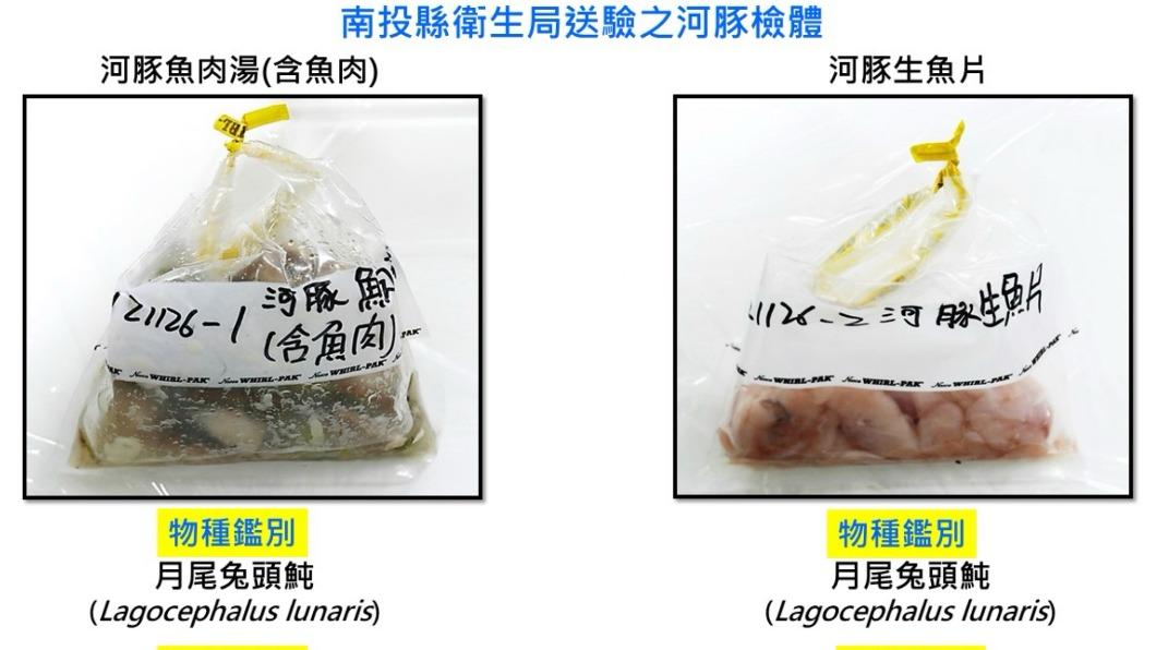 南投廚師吃河豚肉亡!檢體結果出爐 為毒性極強「月尾兔頭魨」