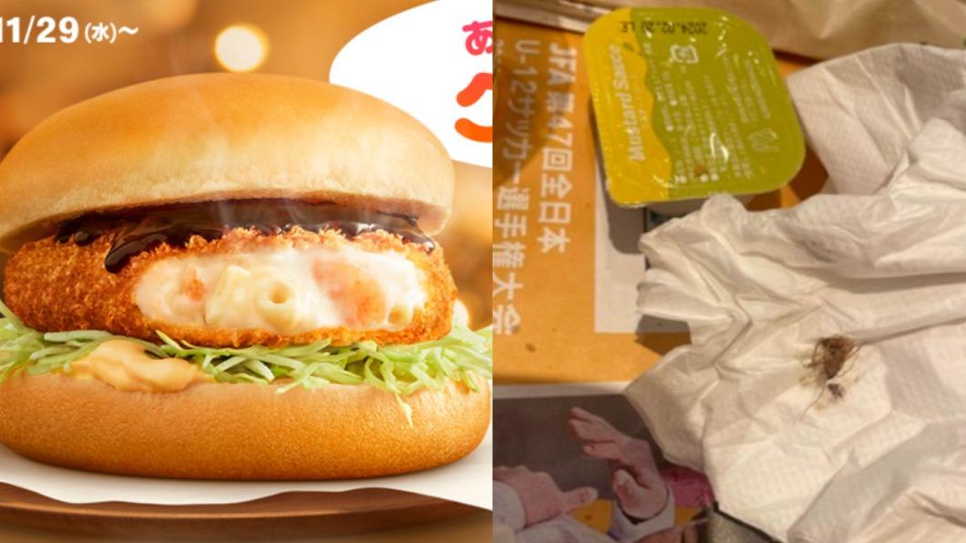 日本麥當勞漢堡遭控有活蟑螂 「吃到一半爬出來」超倒胃
