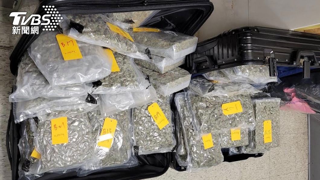 香港男過境桃機「洗出發地」!走私逾27公斤大麻 撒謊遭識破