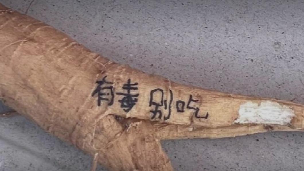 女大生誤食具有毒性的「商陸」。(圖/翻攝自微博)