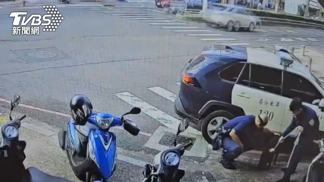 黑豬阿財坐上警車被帶回派出所查明身分。(圖/TVBS)
