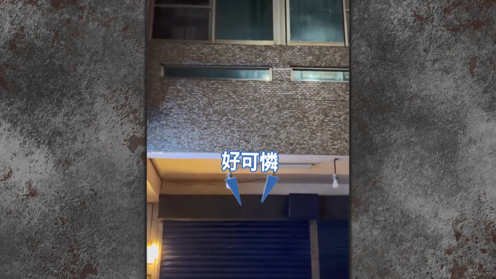 圖/網友william william提供