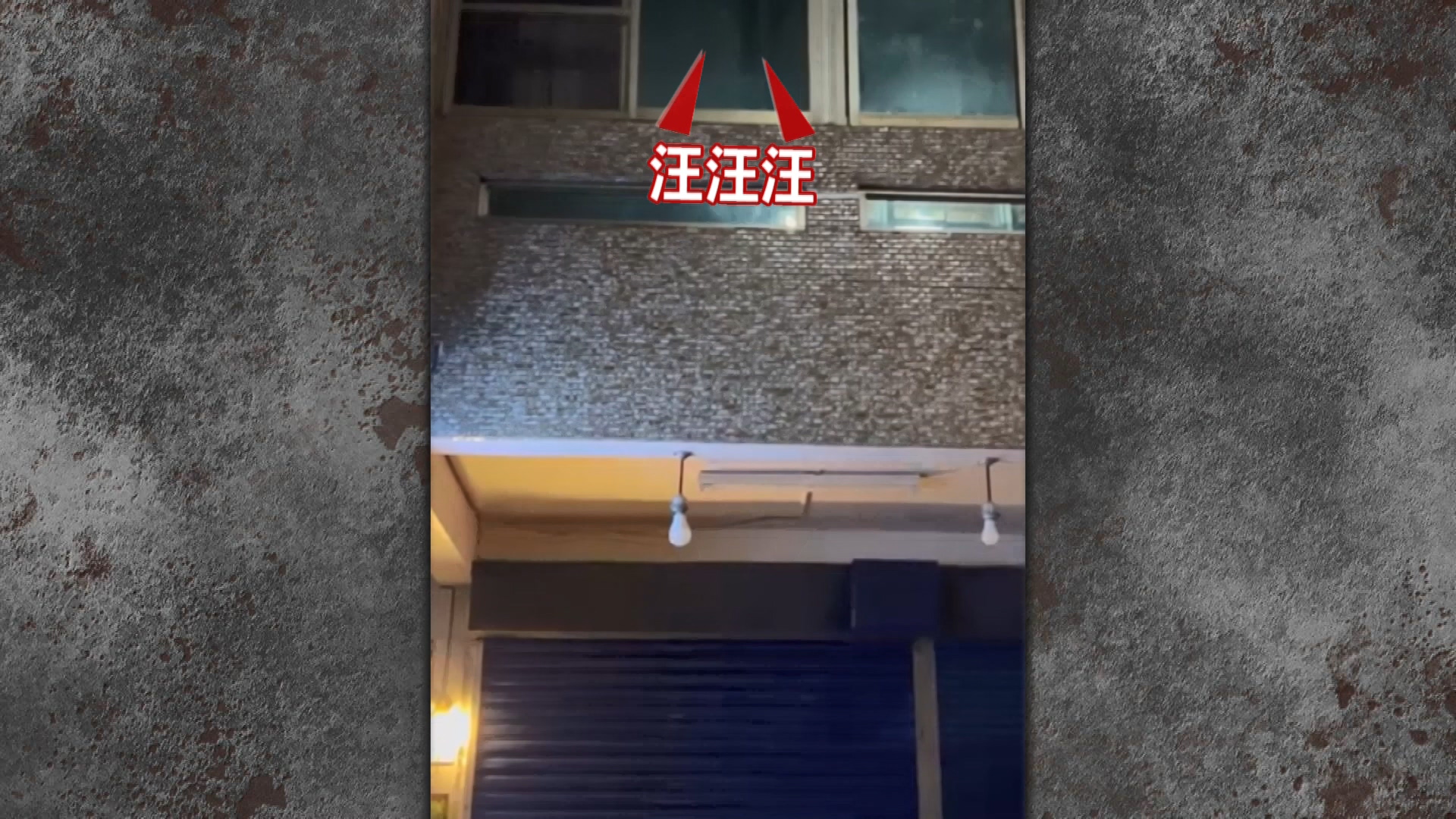 圖/網友william william提供