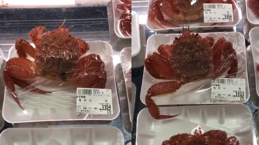 有片/日海產店超生猛毛蟹 戳破保鮮膜大逃亡網讚:超新鮮
