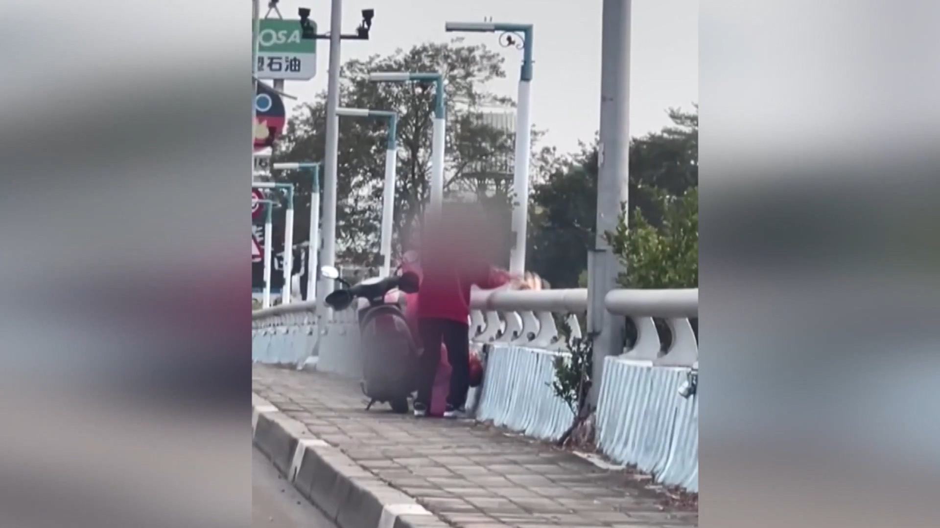 圖/翻攝臉書嘉義綠豆大小事
