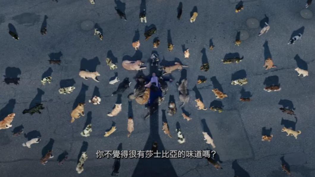 圖／翻攝Sony Pictures 索尼影業 youtube