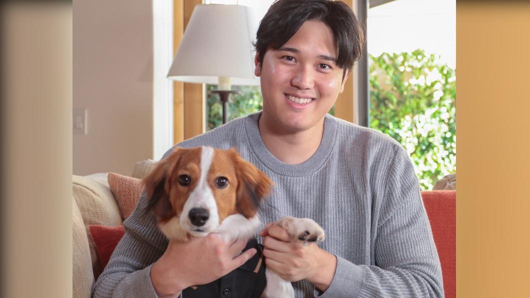 MLB/愛犬名跟惡作劇有關?大谷翔平公布答案 秒登網熱搜