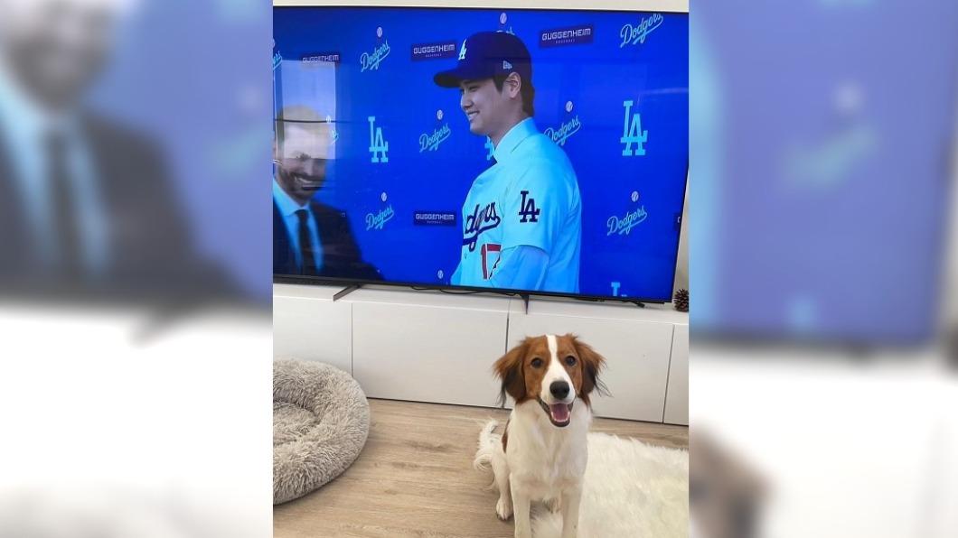 圖/翻攝自shohei ohtani instagram