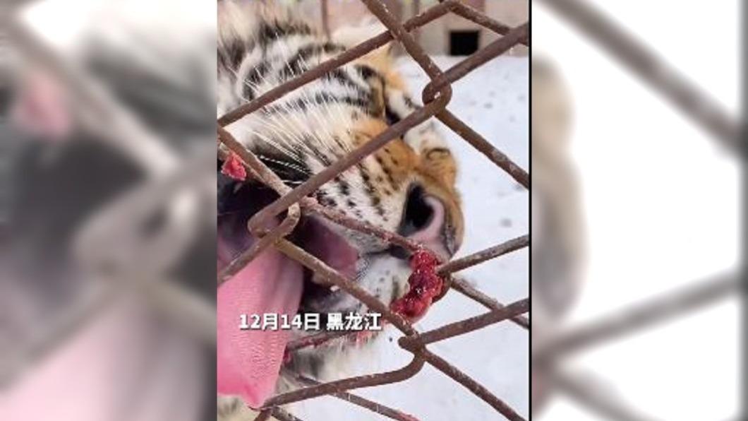圖/翻攝自 微博 新华网