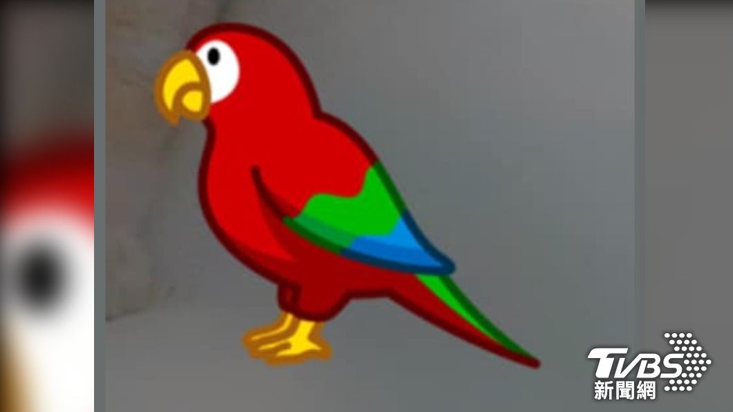 獨家/管好你的鳥!紅鸚鵡害機車手把「破皮」女車主氣炸