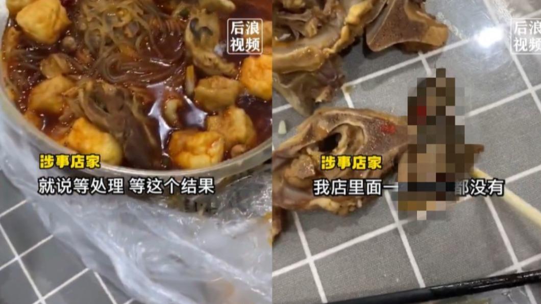 羊肉爐夾出「半截鼠屍」!鬍鬚、牙齒外露 恐燉入味吞下肚