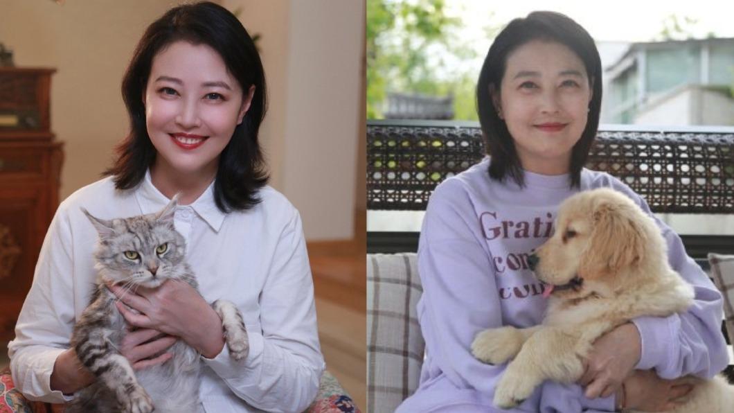 傳3手足無意繼承!周海媚生前無兒女 4億家產「全留給1人」